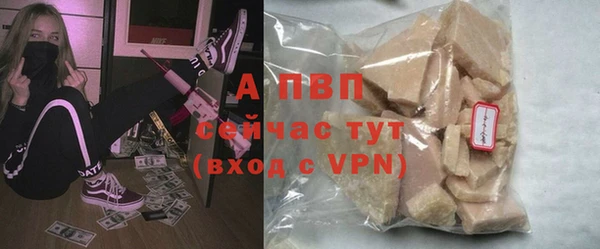 крисы Вязьма