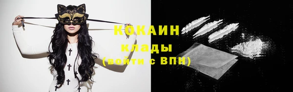 крисы Вязьма