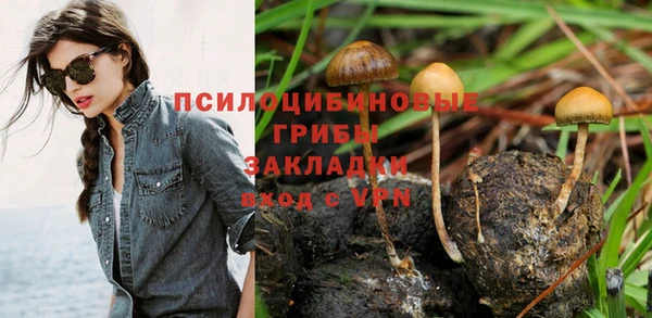 spice Вязники