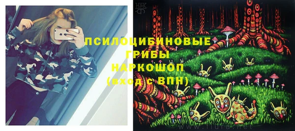 spice Вязники