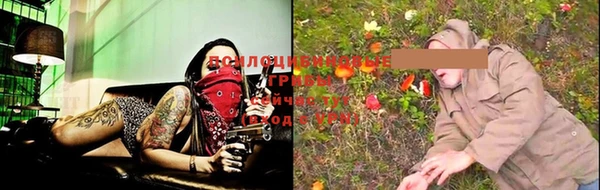 spice Вязники